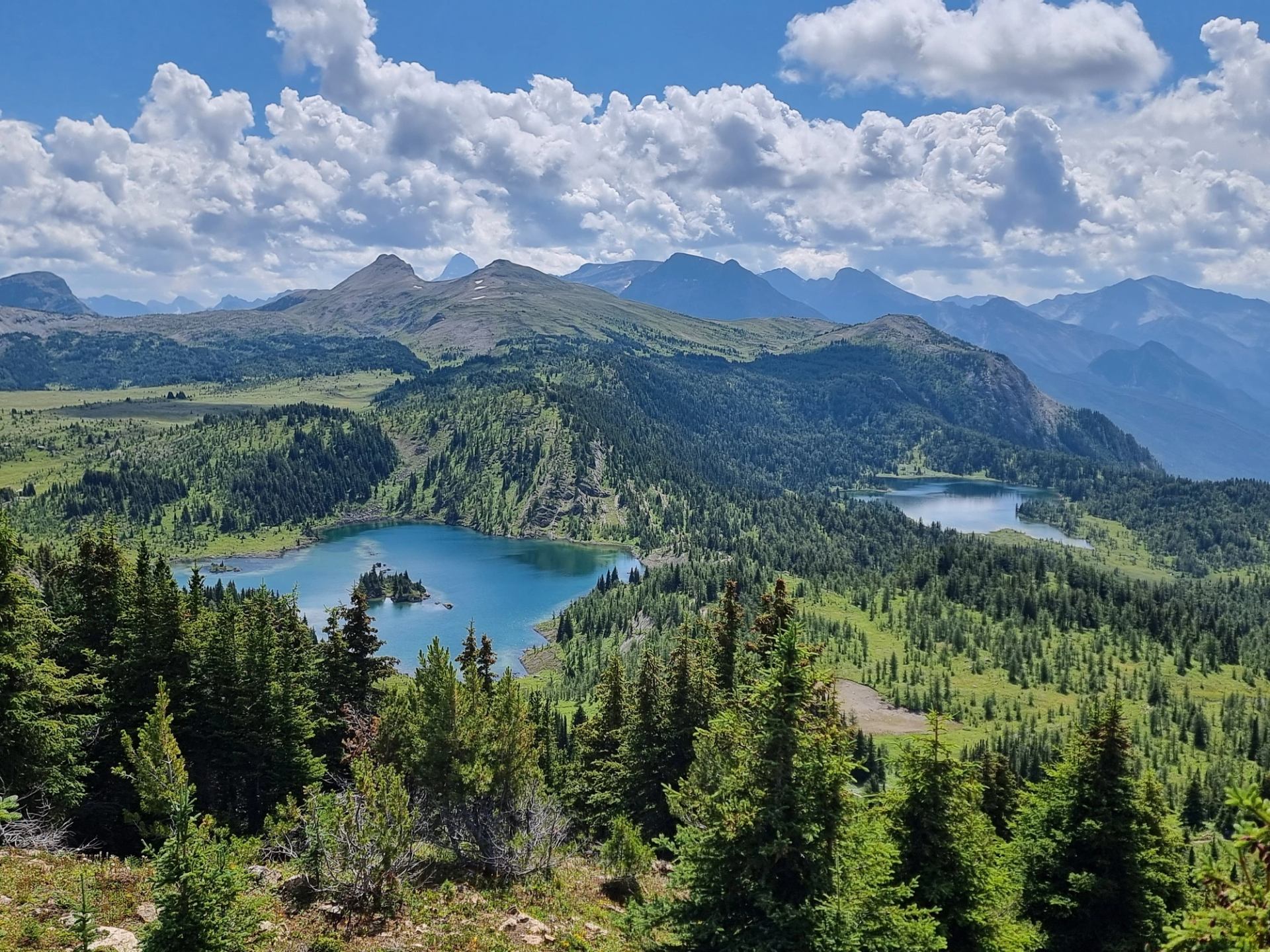 Mountain landscape with evergreen forest, blue lakes, distant peaks and scattered fluffy clouds.