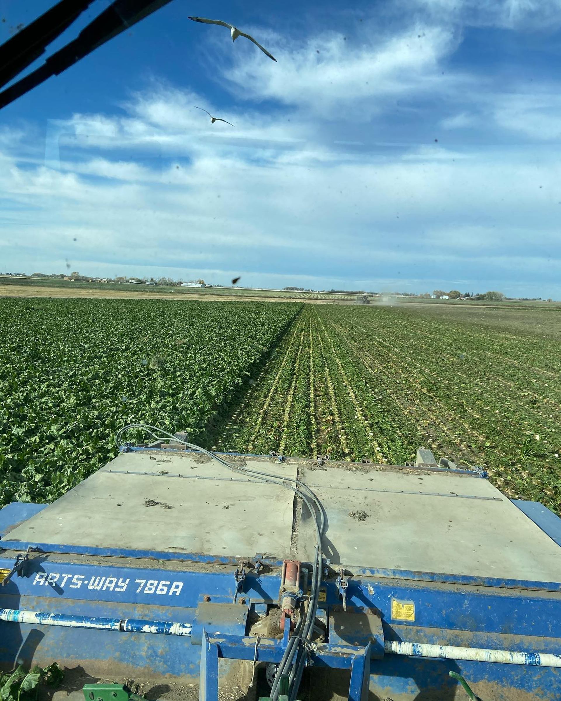 Tractor-mounted ARTS-WAY 786A implement working through long rows of green field crops.