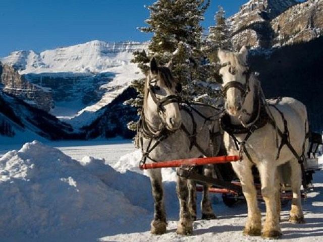 Two horses pulling a sleigh through snowy mountains under a clear blue sky.