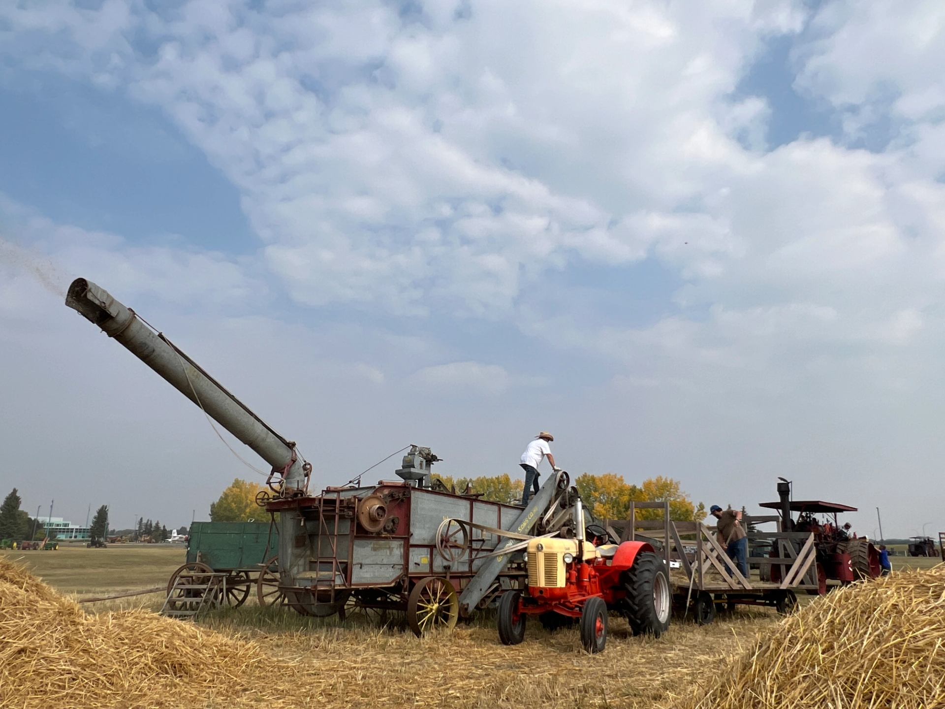 intage threshing machine and tractor working in a field at the festival.