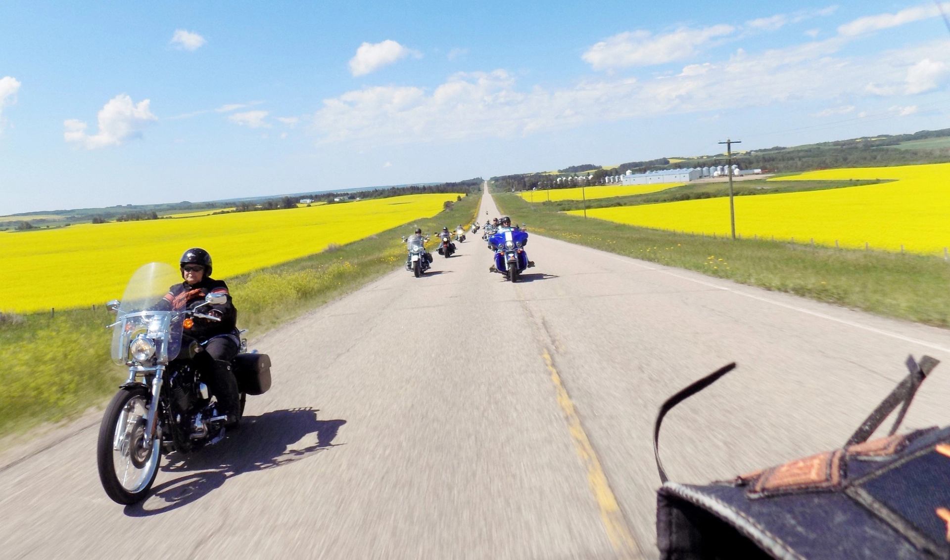 Motorcyclists ride on a rural highway between yellow fields under blue sky.