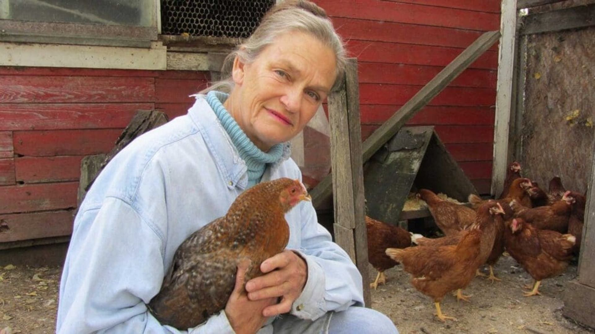 Farmer in denim shirt holding a brown chicken beside coop with flock in background.