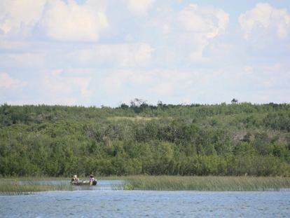 Dillberry Lake Provincial Park | Canada's Alberta