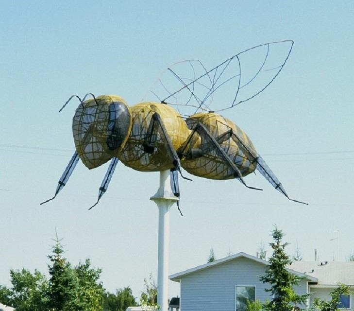 World's Largest Bee | Canada's Alberta thumbnail