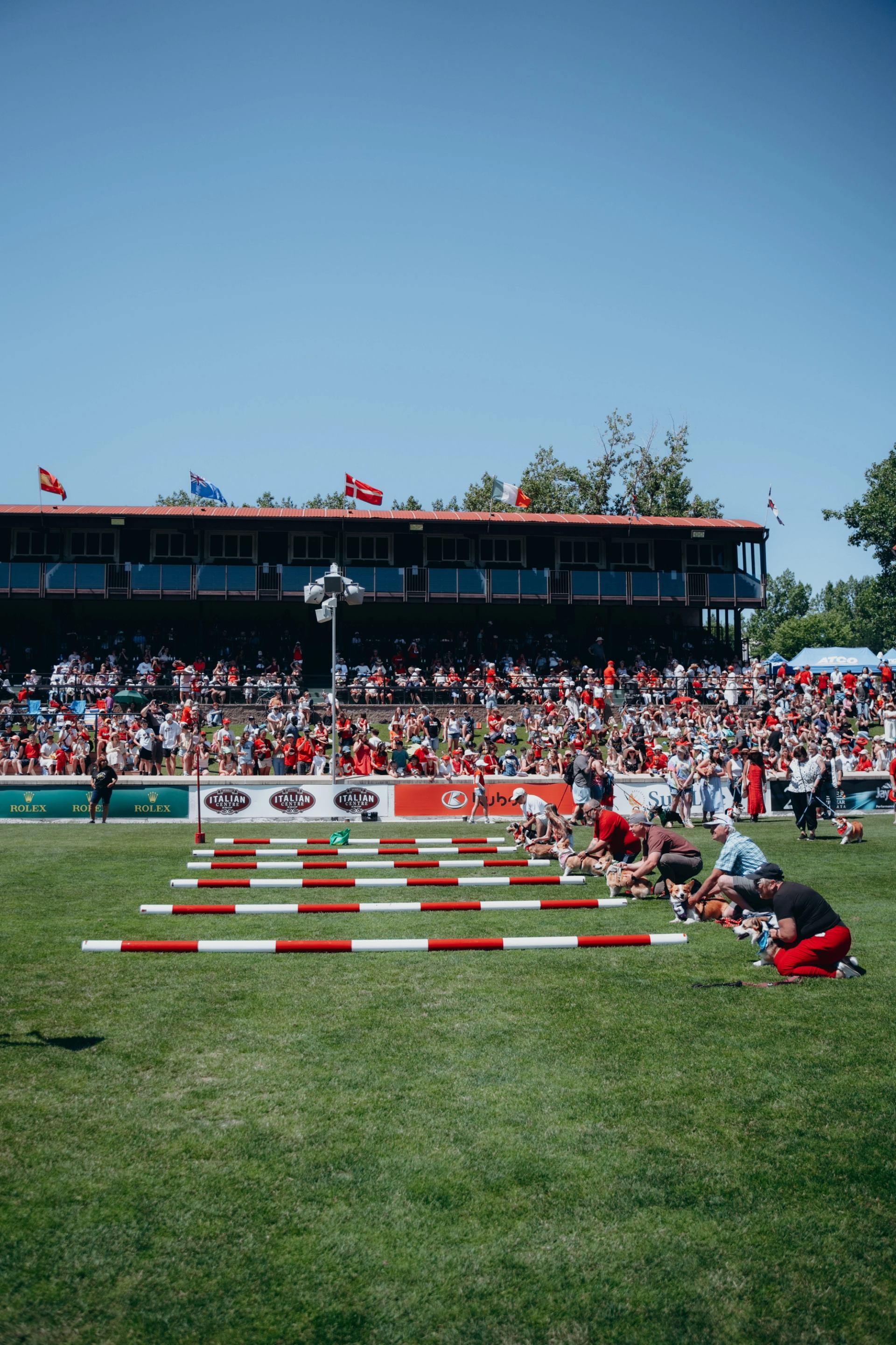Participants lined up for a field race with a packed grandstand behind
