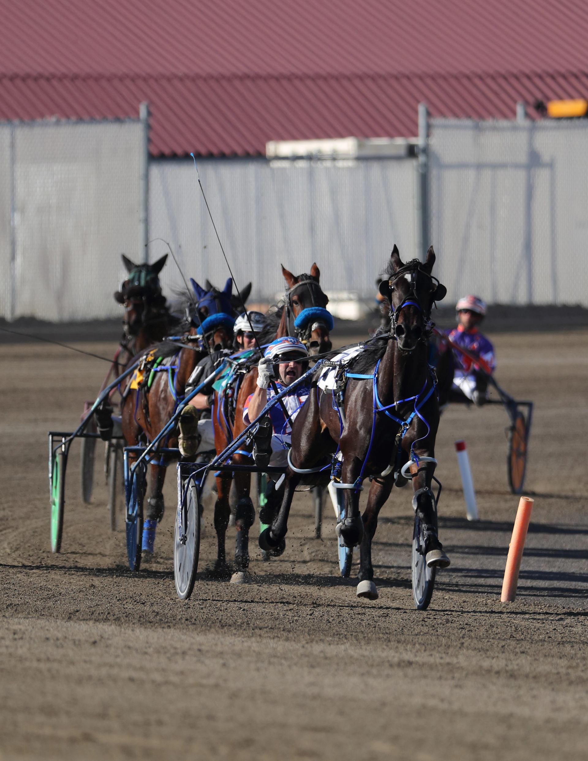 Several harness racing horses pulling sulkies in a competitive race on a dirt track.