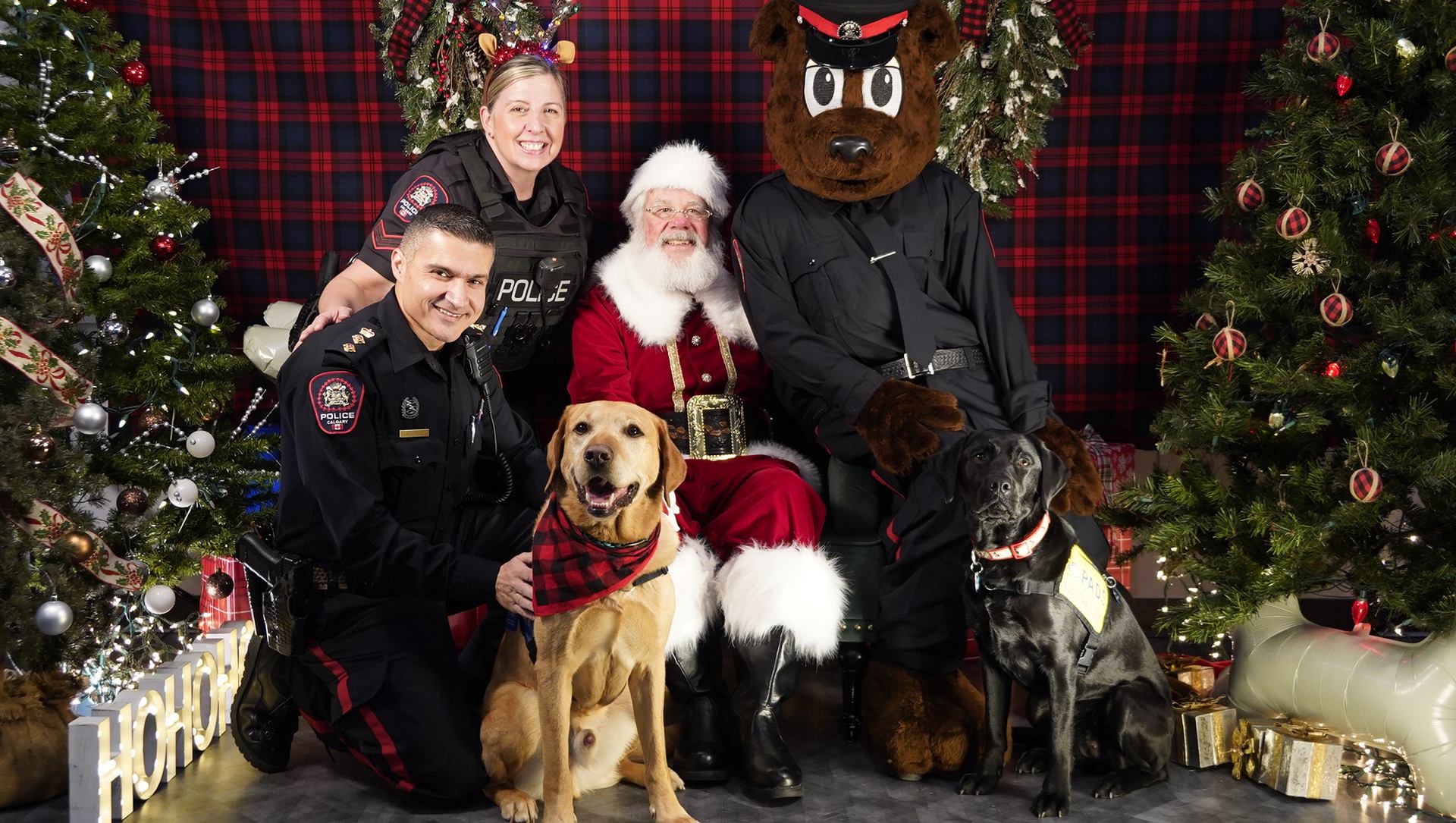 Police officers, Santa, a bear mascot and two dogs pose between decorated Christmas trees.