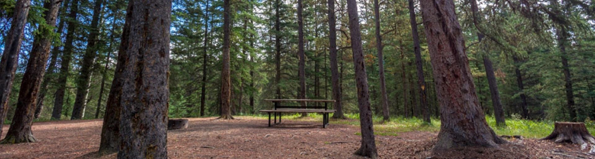 Dry Haven Provincial Recreation Area | Canada's Alberta thumbnail