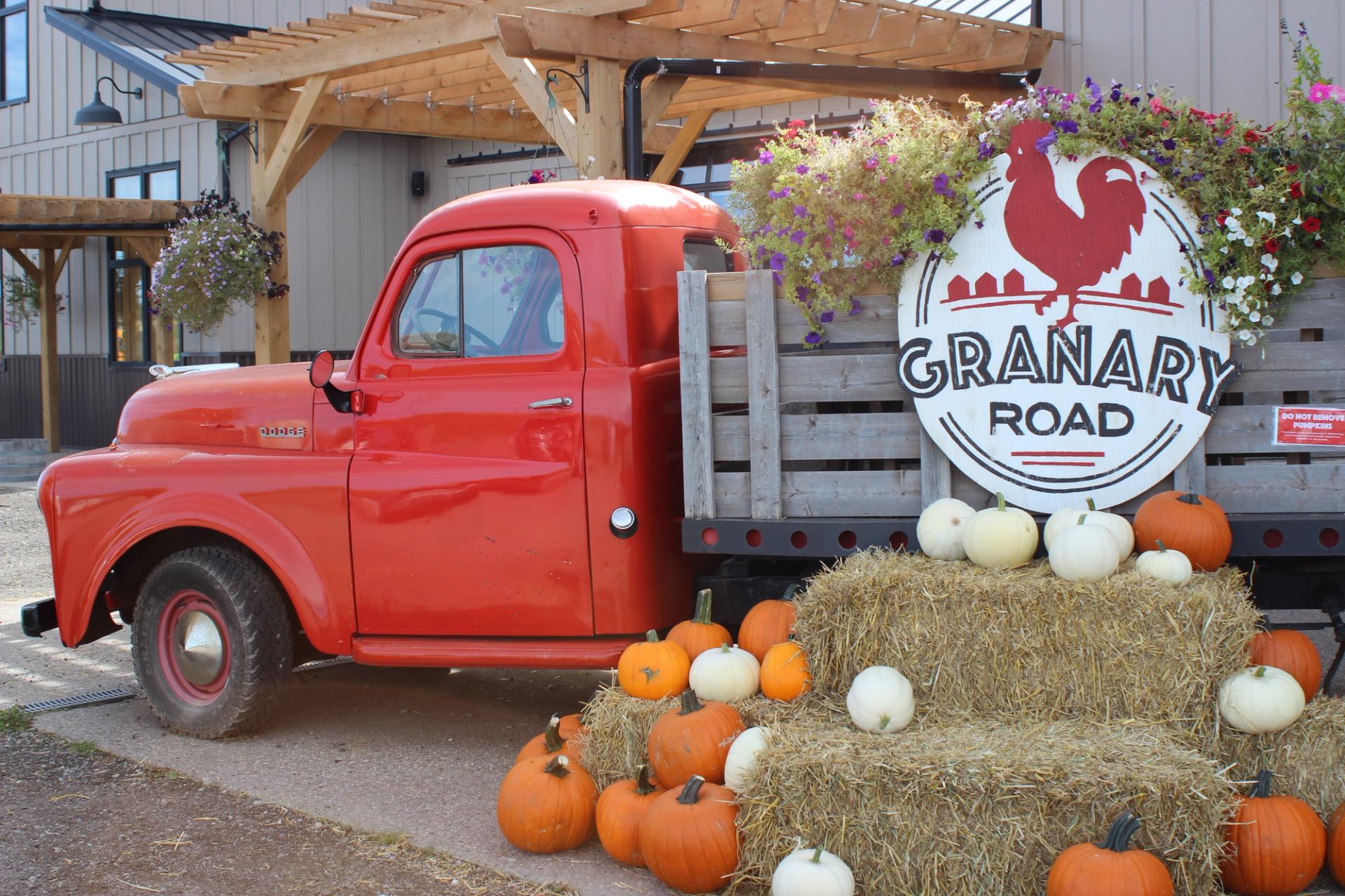 Red vintage truck with pumpkins and hay bales at Granary Road.