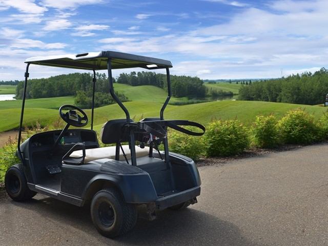 Golf cart parked on paved path beside rolling greens and treeline under blue sky.