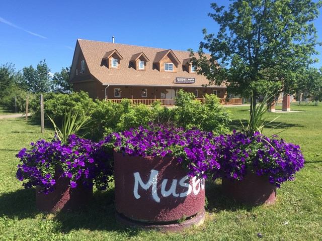 A charming brick building with dormer windows is surrounded by greenery and purple flower planters labeled "Museum." The scene is bright and inviting.