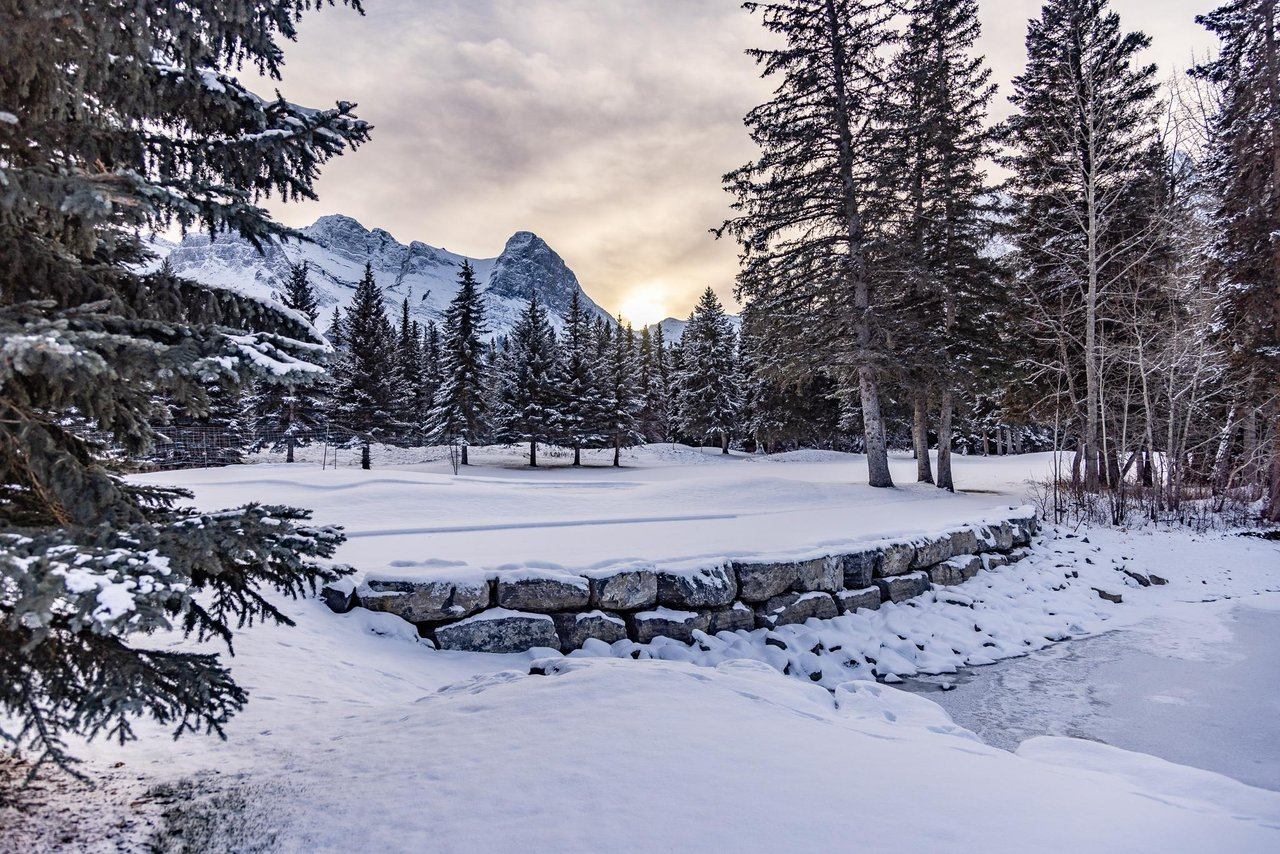 Snow-covered mountain scene with evergreen trees, a stone wall, and a partially frozen stream under a cloudy sky.