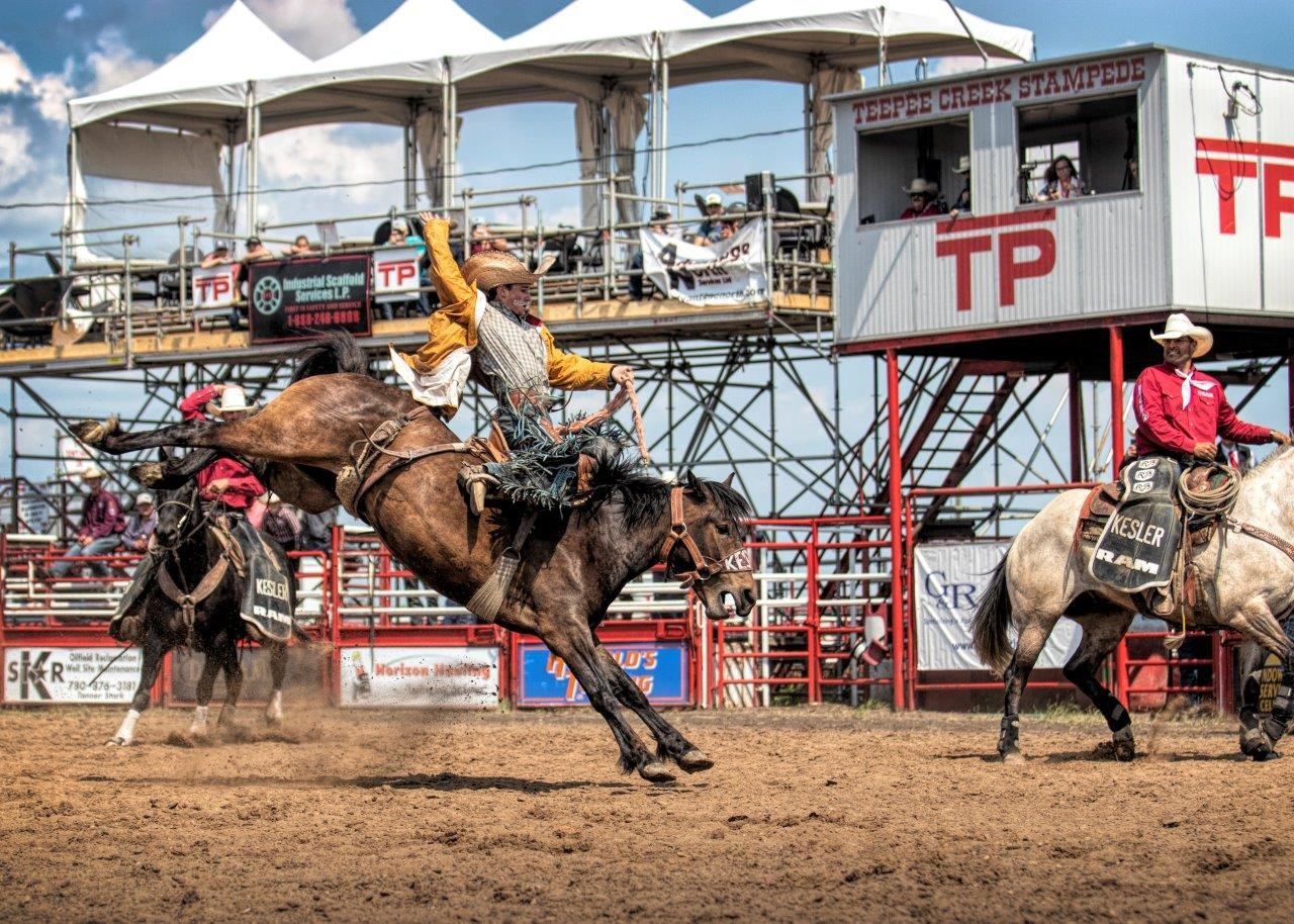 Bronc rider holds arm high while horse bucks at Teepee Creek Stampede rodeo grounds..
