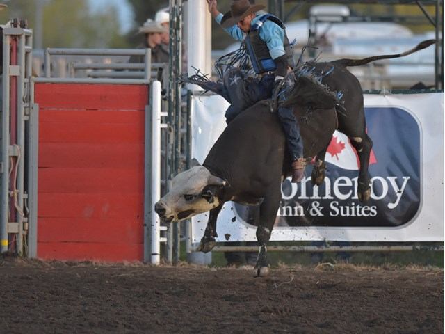 Rodeo rider on bucking bull in dirt arena near metal gate and banner.