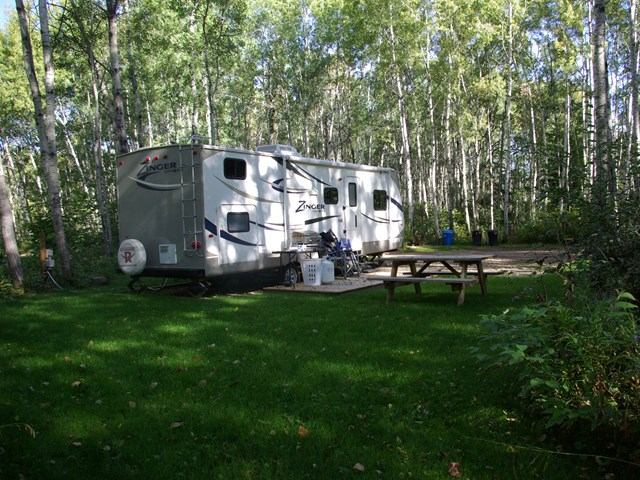 RV parked in grassy forest campsite with picnic table under tall trees.