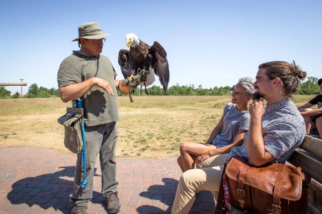 People learning about bald eagles at the Alberta Birds of Prey Foundation.