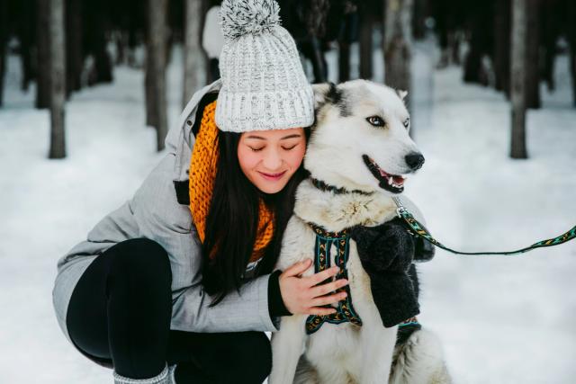 A visitor giving a hug to one of the lead huskie after dog sledding on Spray Lakes.