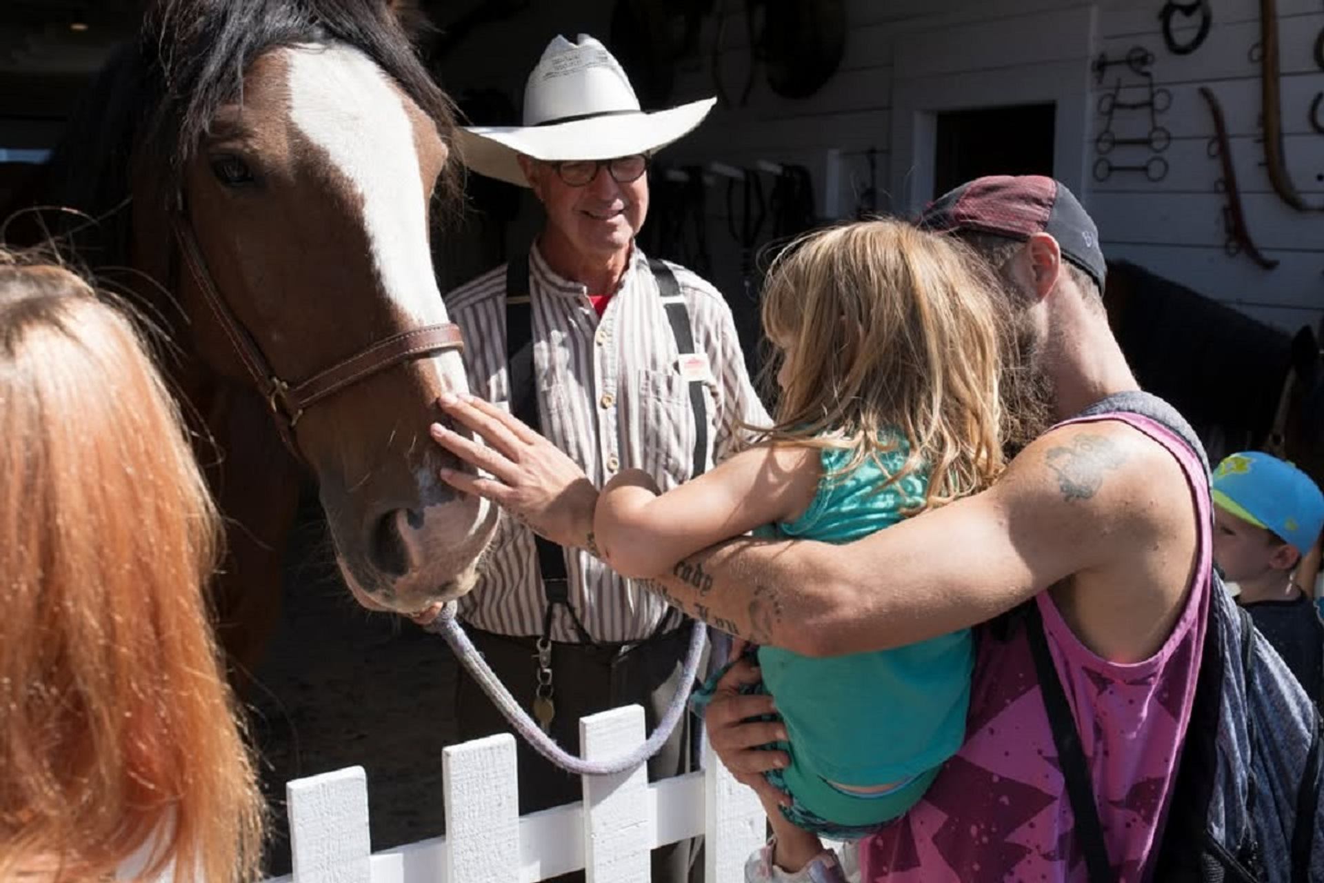 Child pets horse held by cowboy at Heritage Park during Alberta Day celebration.