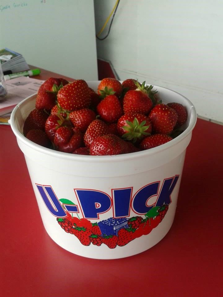 Bowl of red strawberries on a table, with labels on a white bucket.