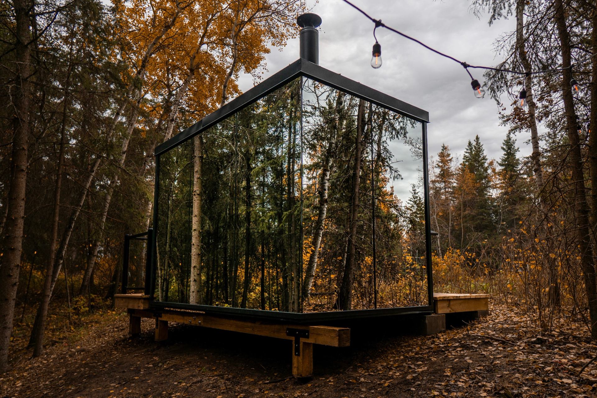 Modern mirrored sauna in the forest with string lights and autumn foliage.