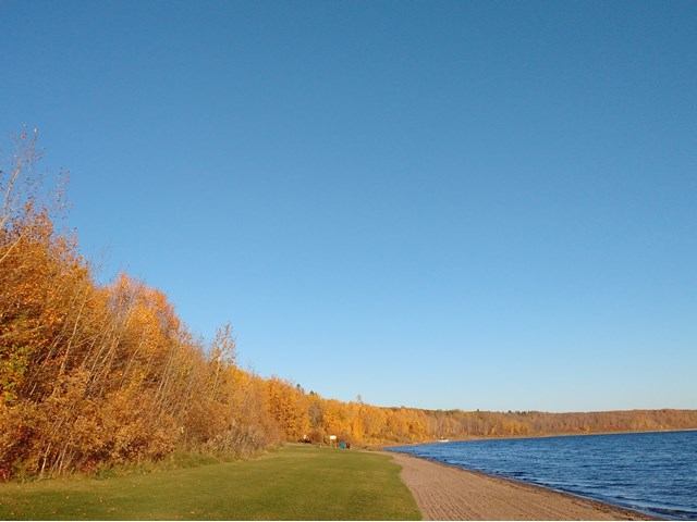 Fall colours in the trees on the edge of the water line