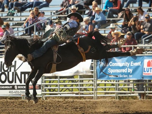 Rider trying to stay on his horse during bronc ride