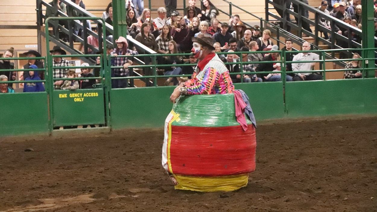 Rodeo clown in colourful barrel costume sits in dirt arena before seated spectators.