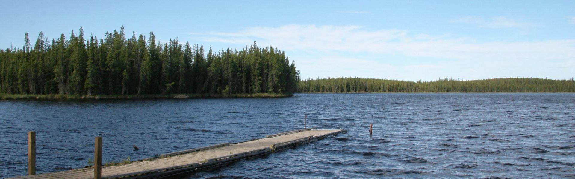 Wooden dock extends into choppy lake, surrounded by dense evergreen forest under blue sky.