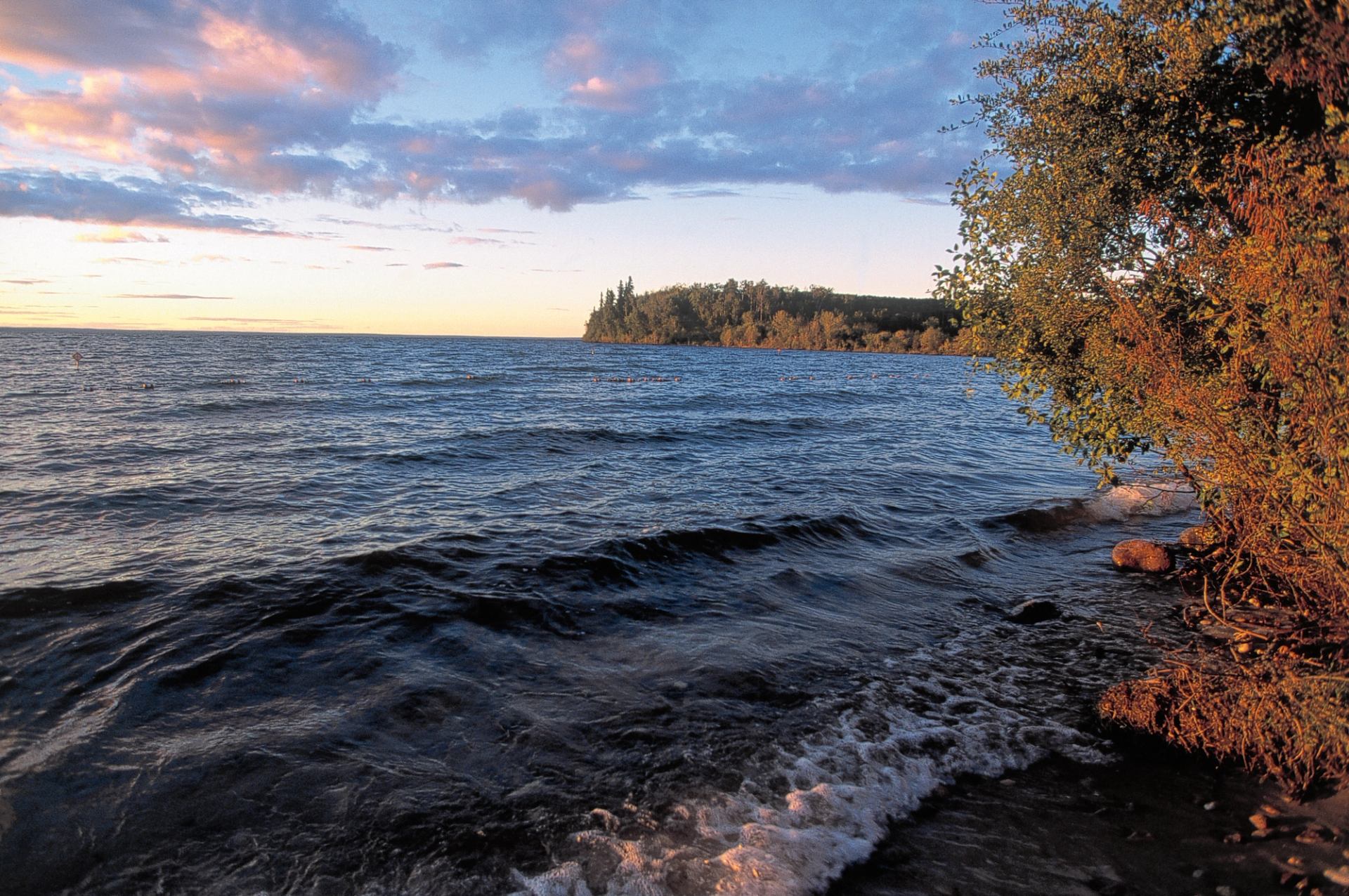 Waves hitting a rocky shoreline with trees and a sunset-lit sky.