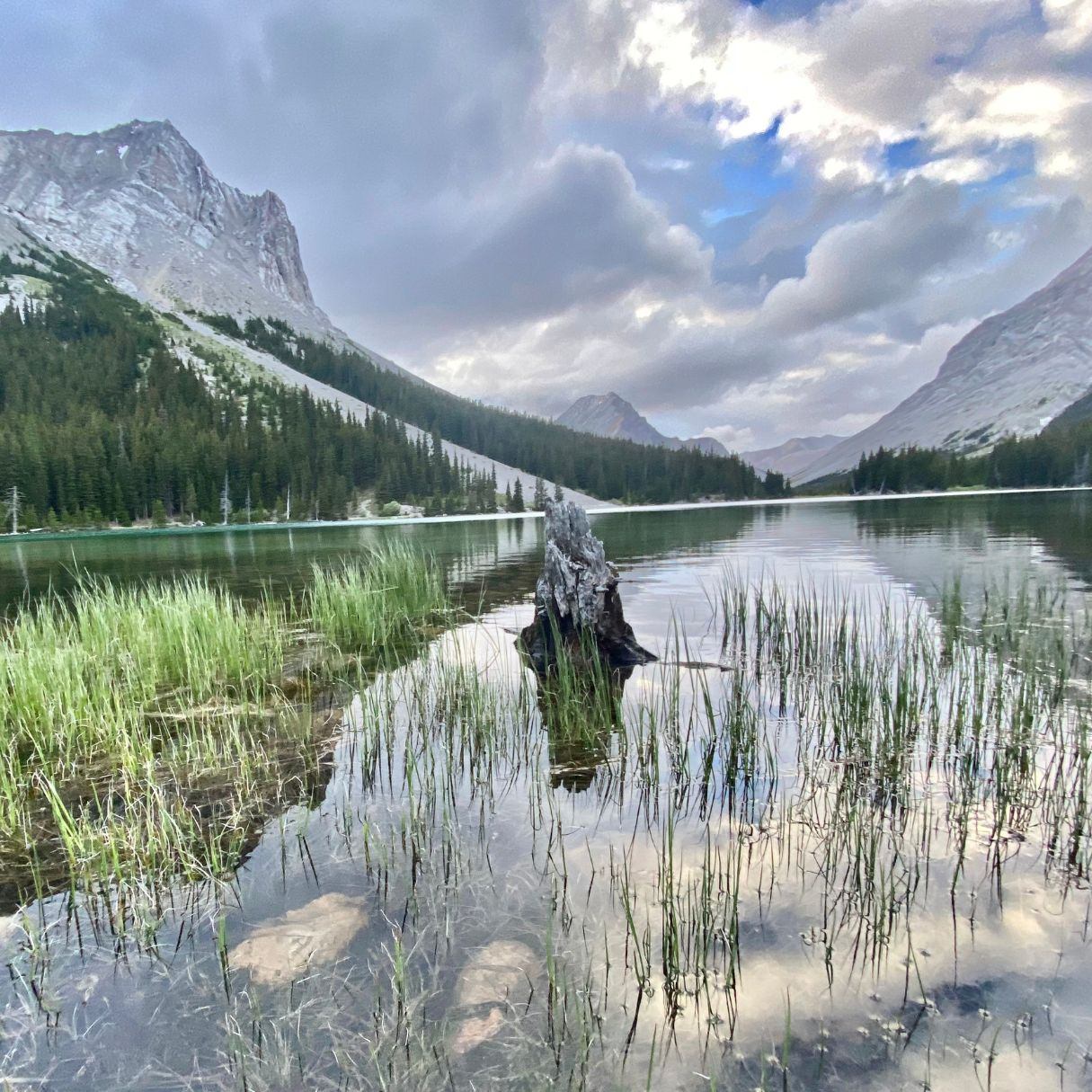 Beautiful scenery of Elbow Lake on a still day.