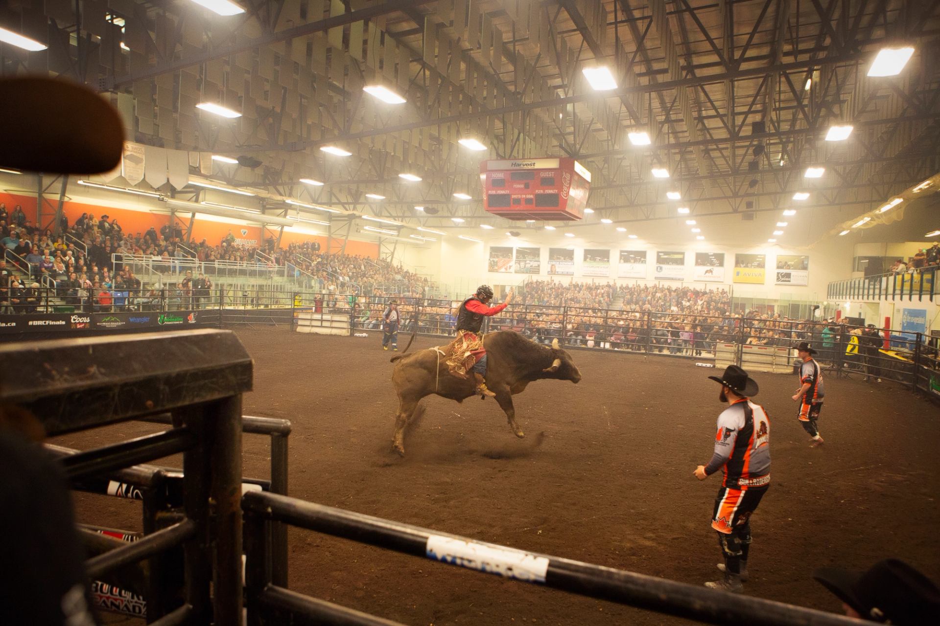 Bull rider balances on bucking bull in indoor arena as crowd watches from stands.