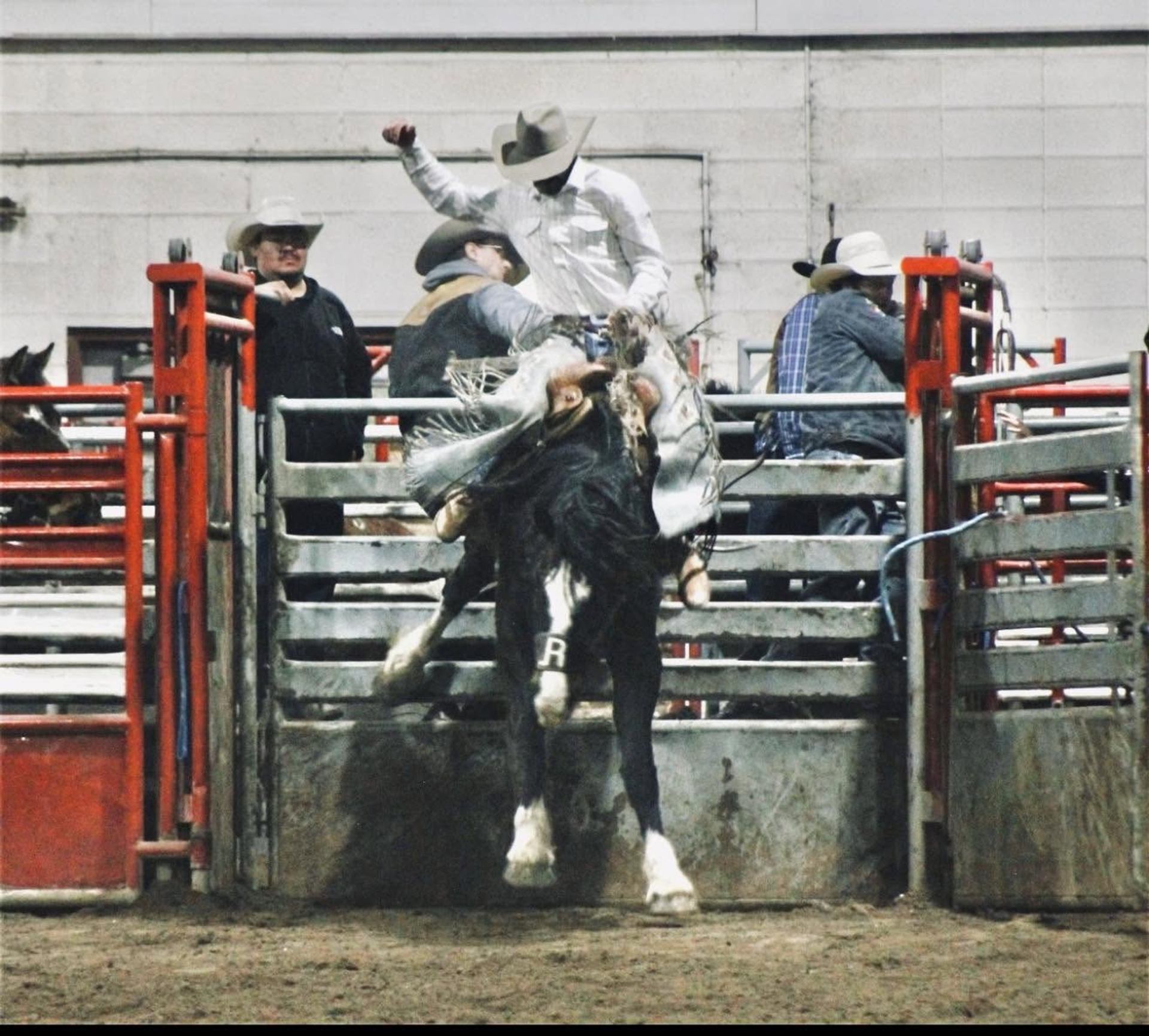 Rodeo rider on bucking horse leaving metal chute, surrounded by people in cowboy hats.