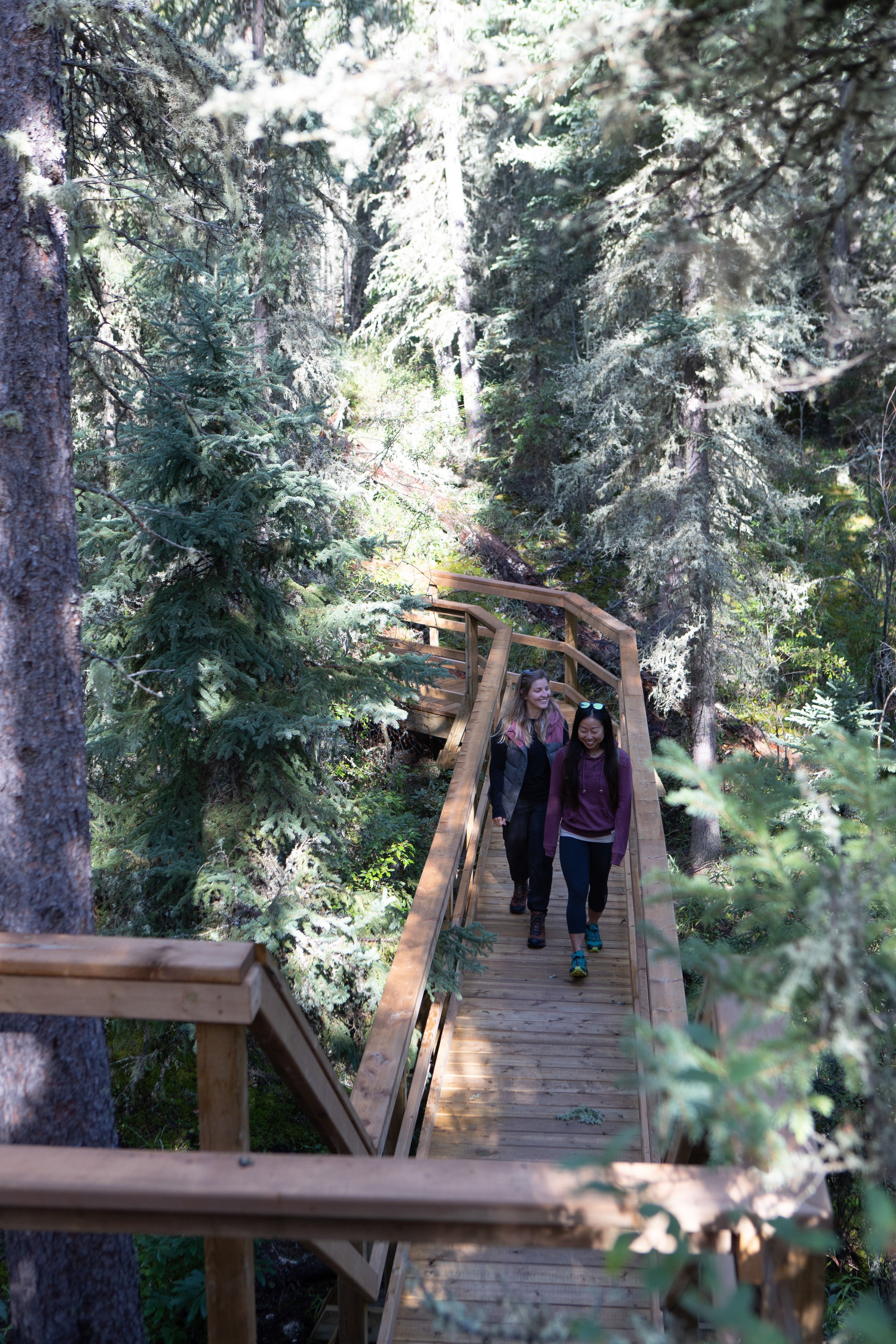 Karstland Interpretive Trail | Canada's Alberta thumbnail