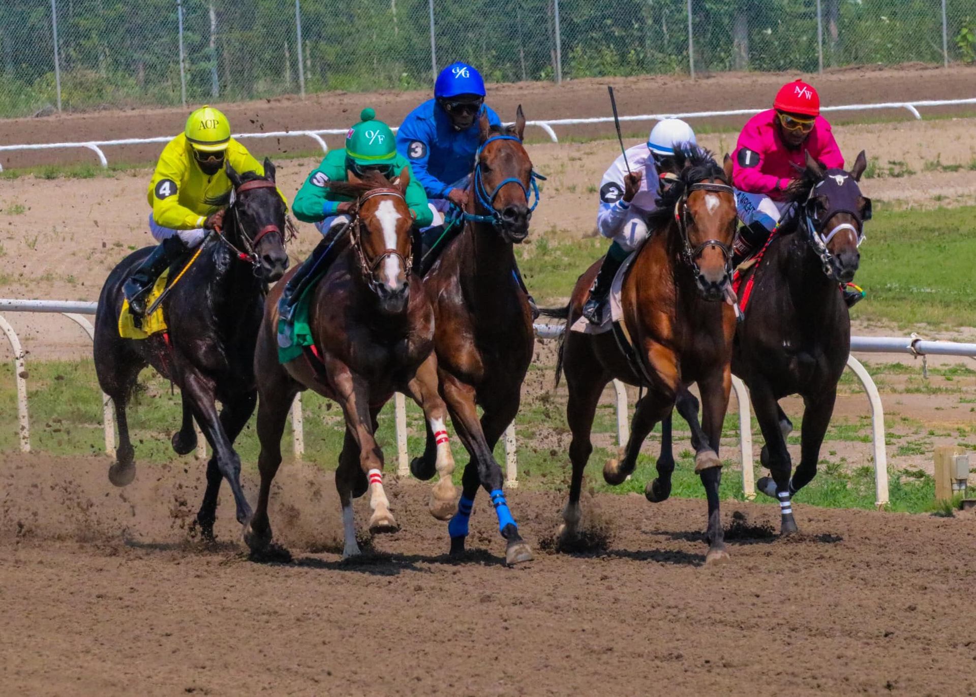 Jockeys in colourful silks race horses on a dirt track.