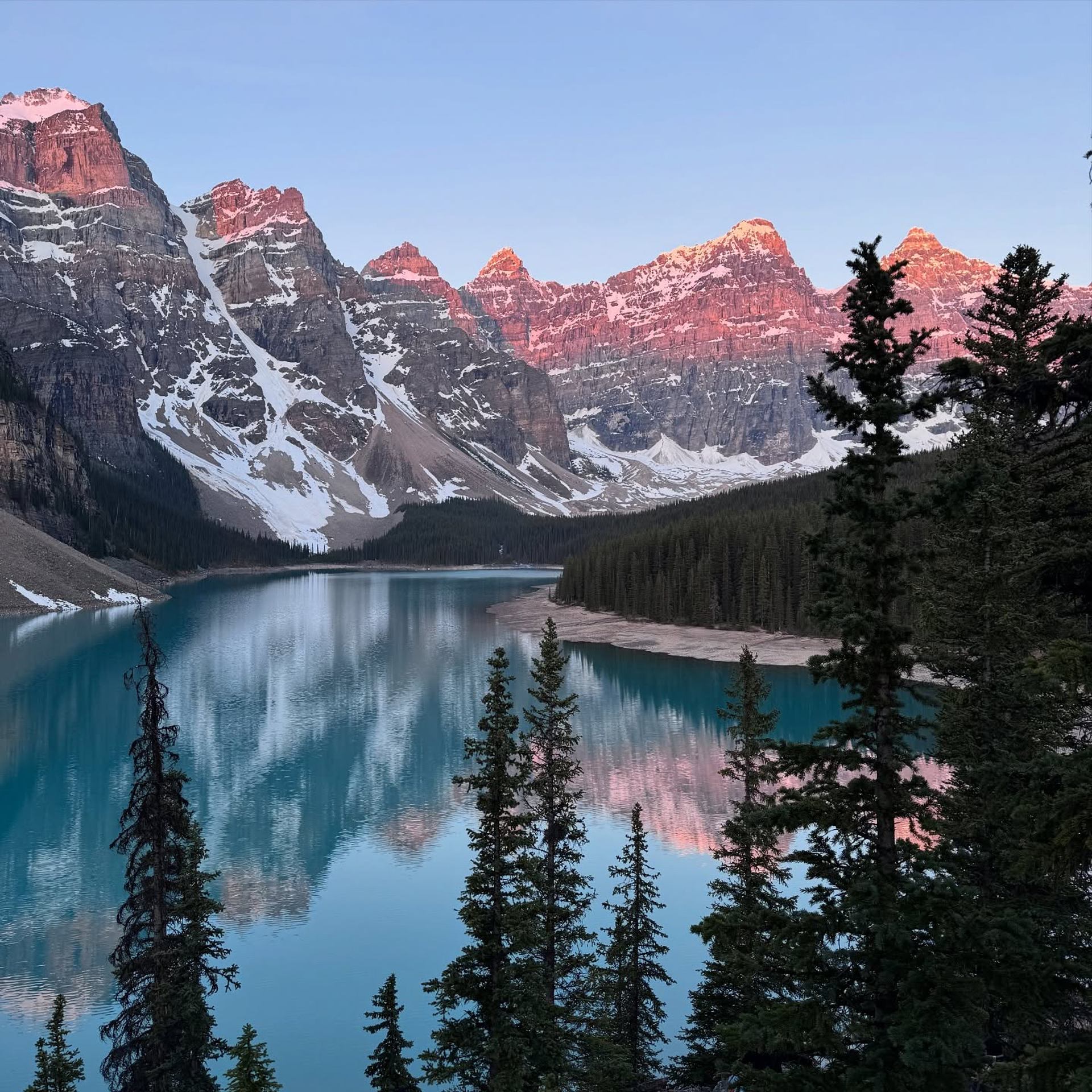 Moraine Lake at sunrise, with turquoise water reflecting snow-capped mountains whose peaks are bathed in a pink glow, framed by pine trees.