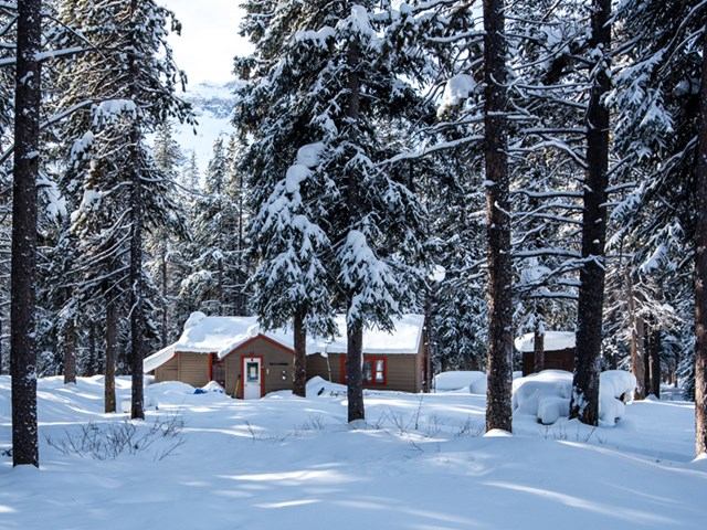 Snowy cabin with red door nestled among pine trees in a winter forest.
