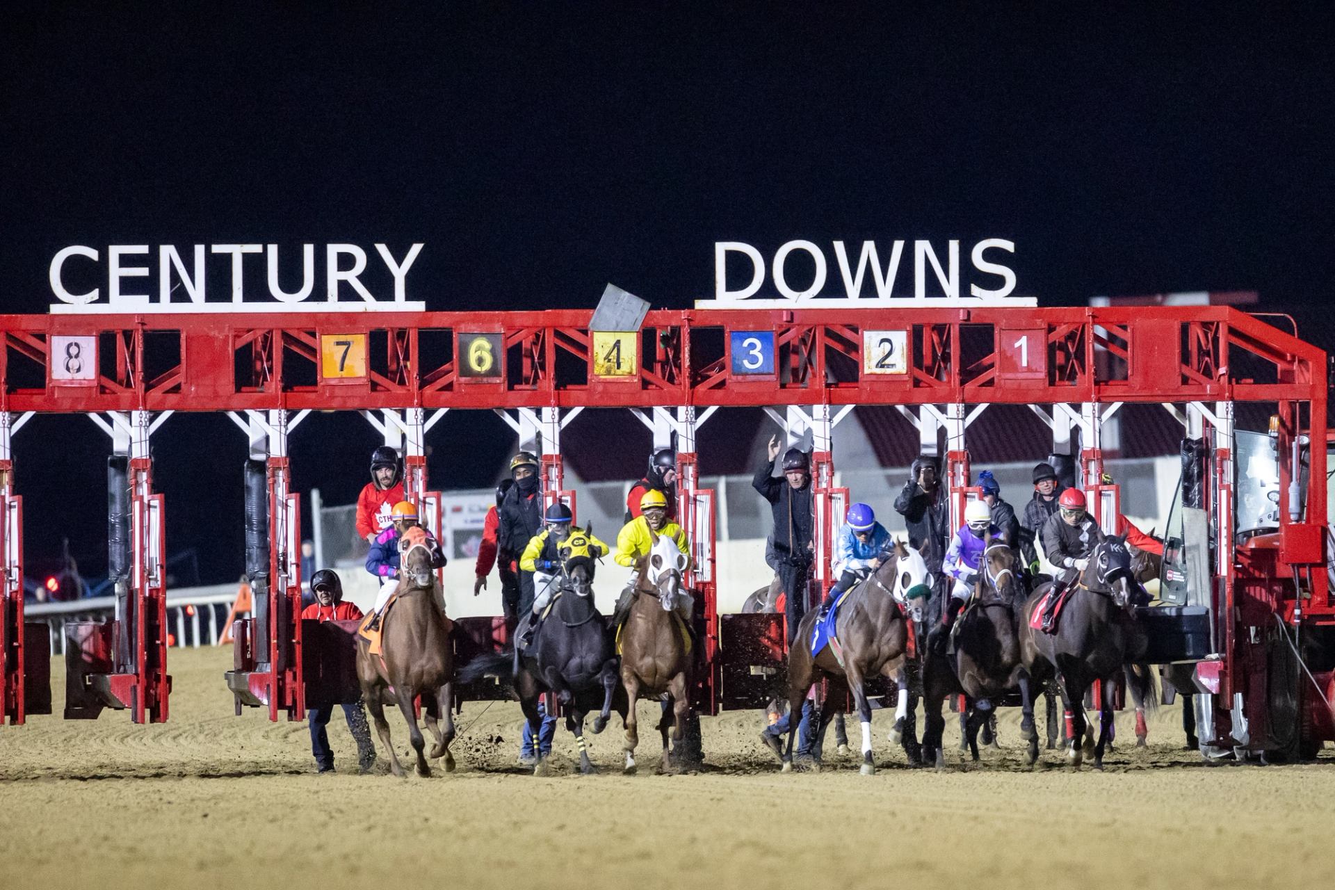 Racehorses burst from Century Downs starting gate under bright lights on dirt track.