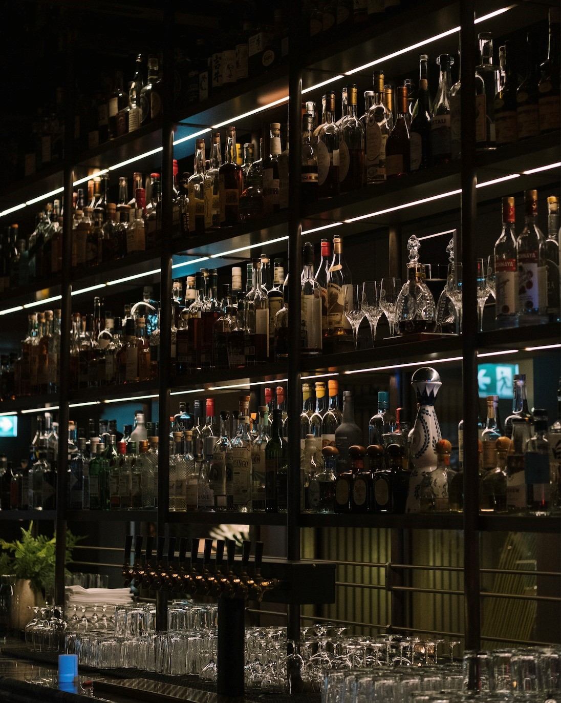 Backlit bar shelves filled with liquor bottles and glassware above a row of beer taps and glasses.