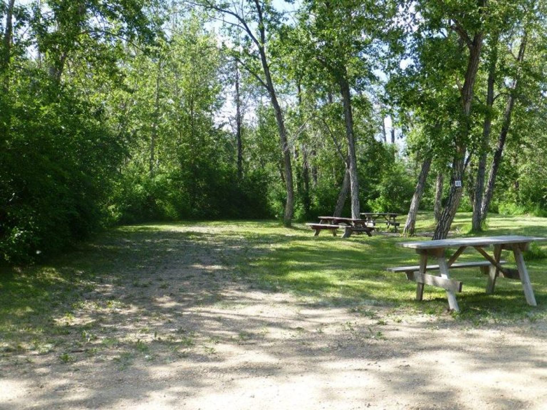 Picnic tables sit among trees and grass at a quiet campsite area in Tail Creek Park.