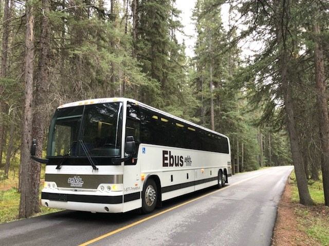 Bus on narrow road in wooded area.