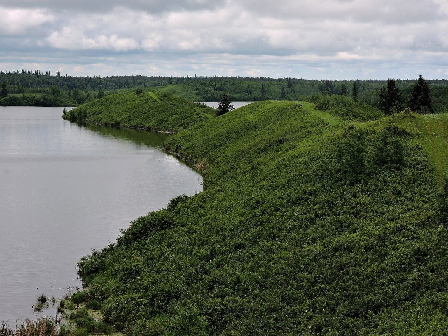 Lush treed shore curving along a peaceful lake edge