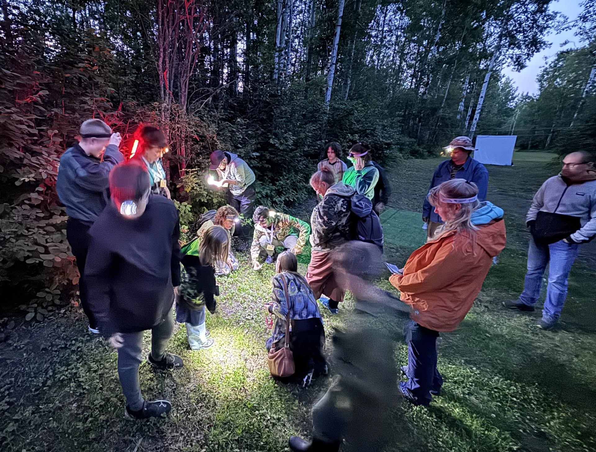 Group of people with flashlights examining ground in forest clearing at dusk.