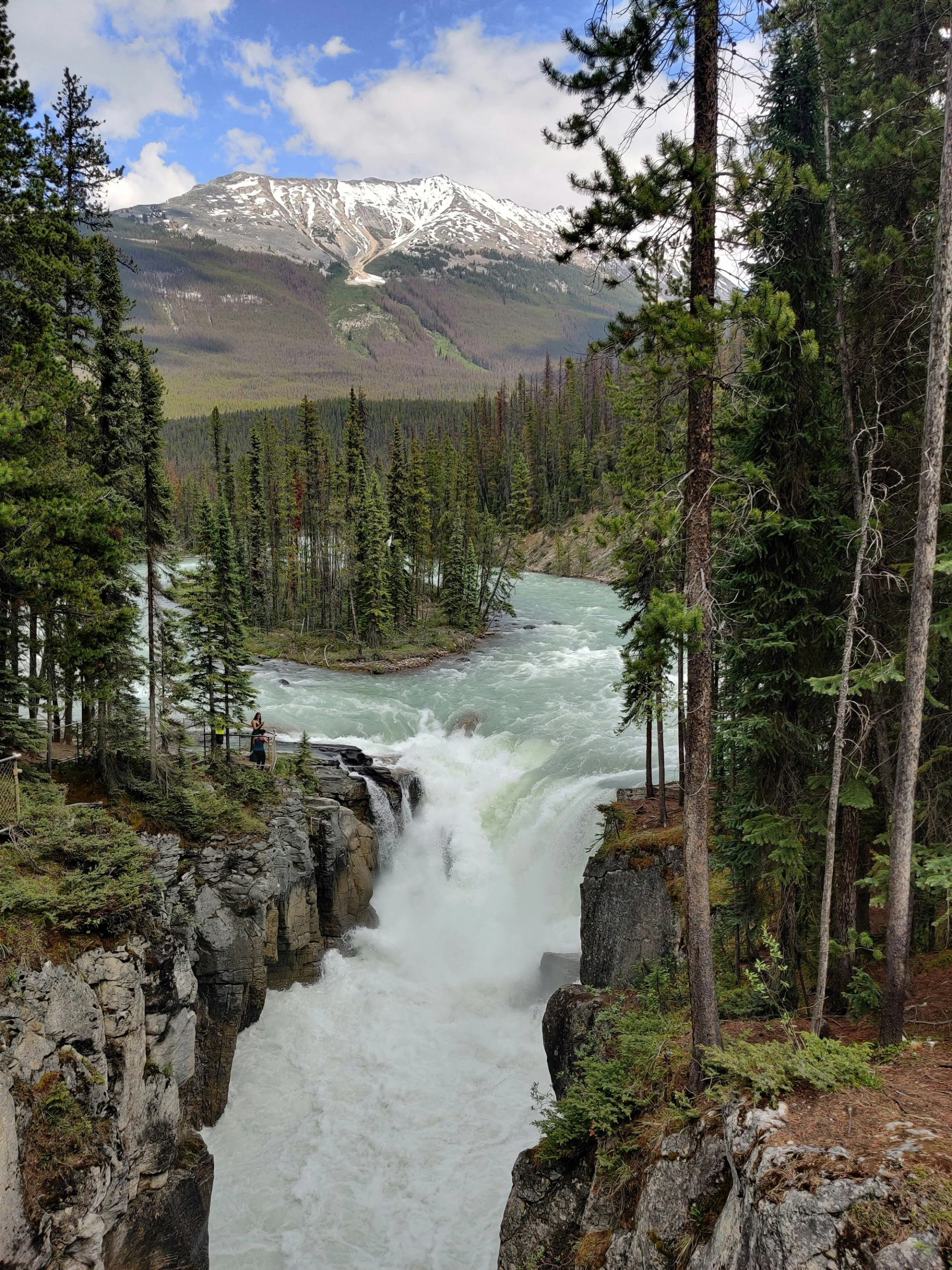 Waterfall rushing through rocky gorge with pine forest and snow-capped mountain in background.