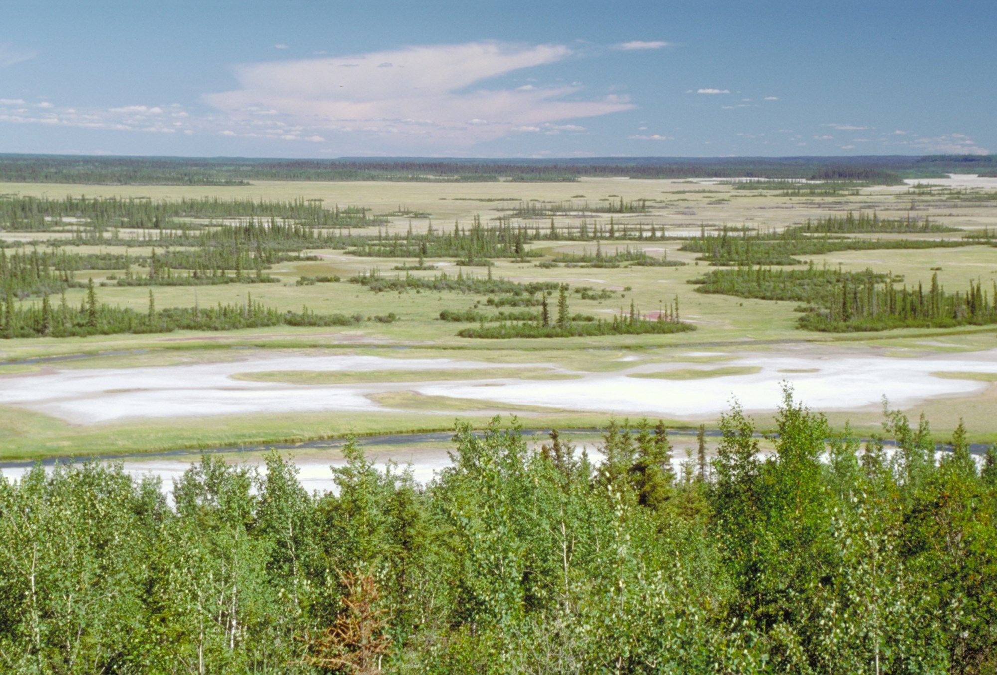 Salt Plains and Day Use Area | Canada's Alberta thumbnail