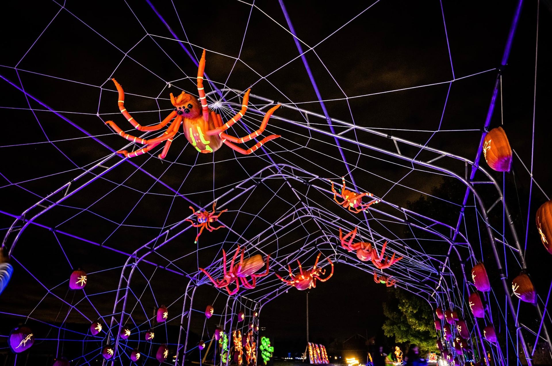 Tunnel of giant glowing spiders and pumpkins under blacklight at night