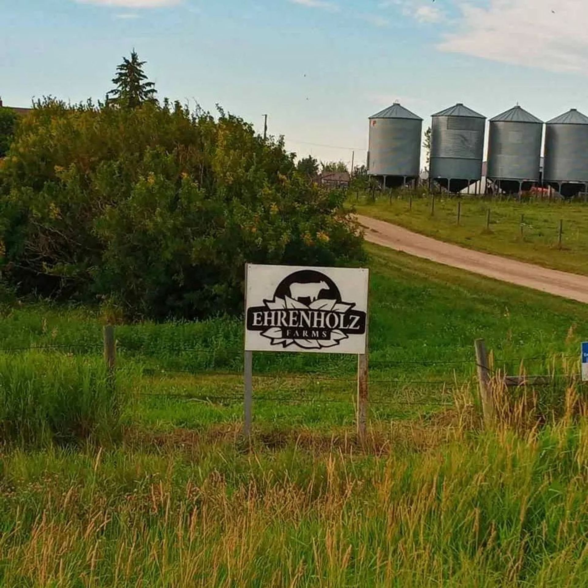 Farm entrance sign reading “Ehrenholz Farms” beside gravel road and metal grain silos.