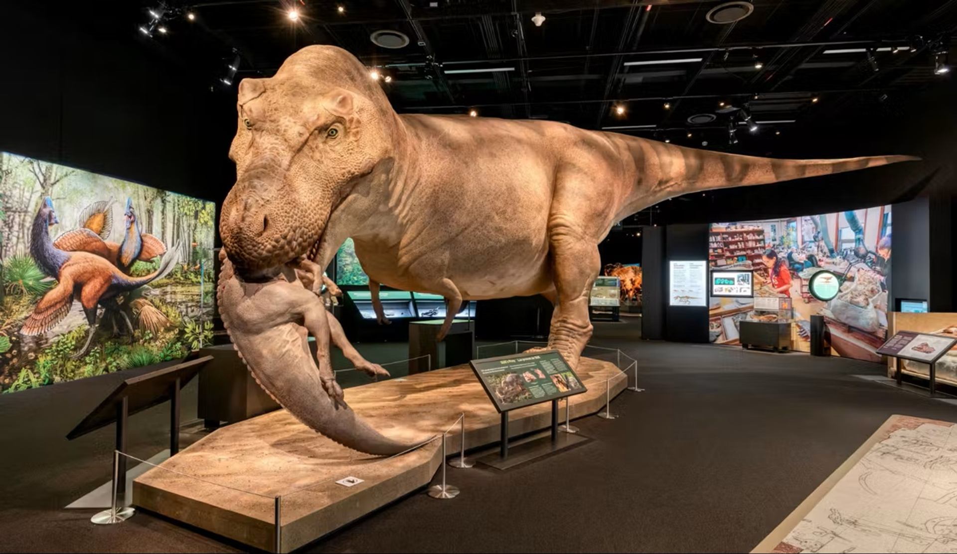 Large dinosaur exhibit shows predator model biting another dinosaur, with museum displays behind.