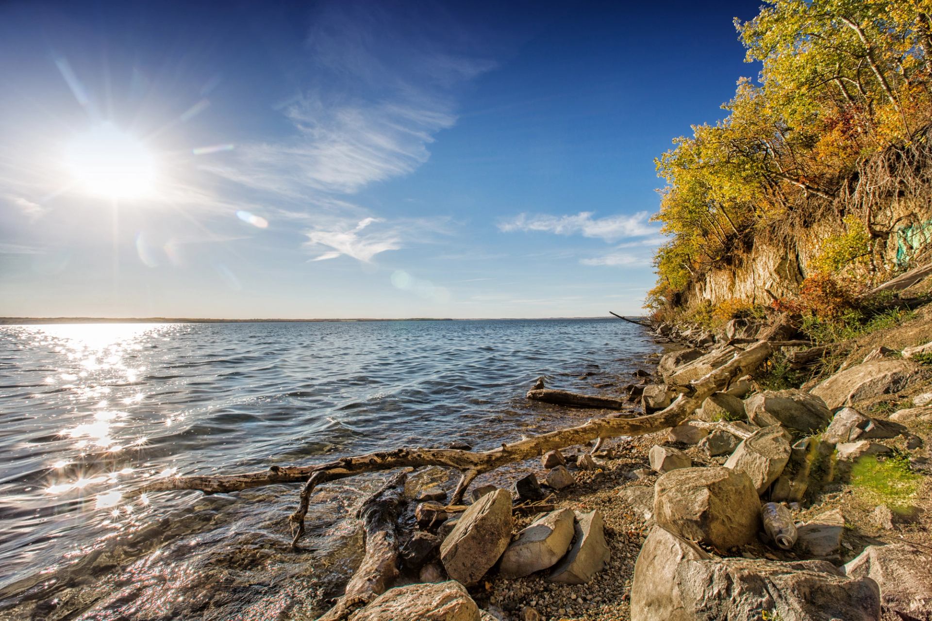 Rocky shoreline with driftwood, calm lake water and trees under clear blue sky.