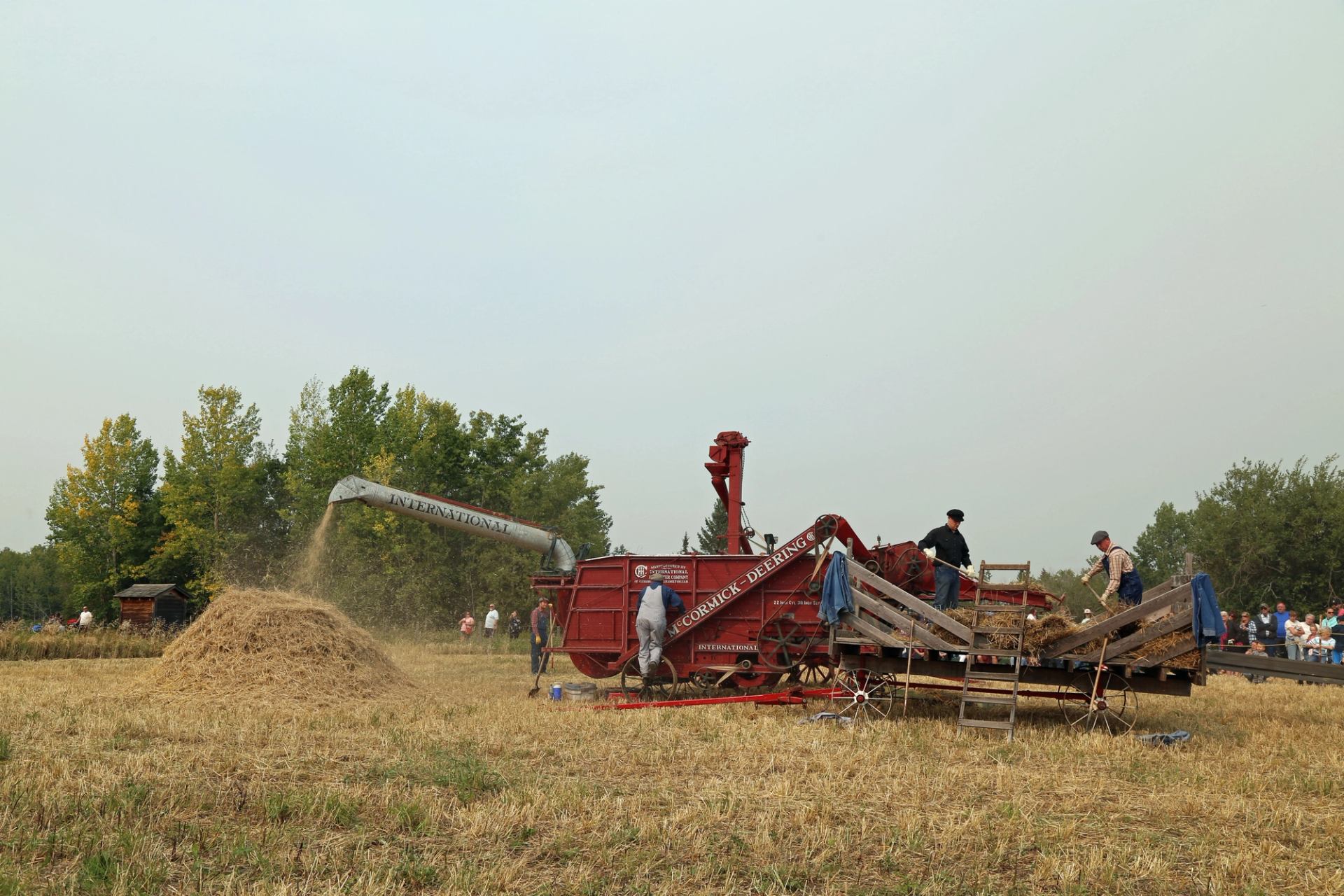 Historic threshing machine in a field as workers process grain, with straw piles and trees in the background.