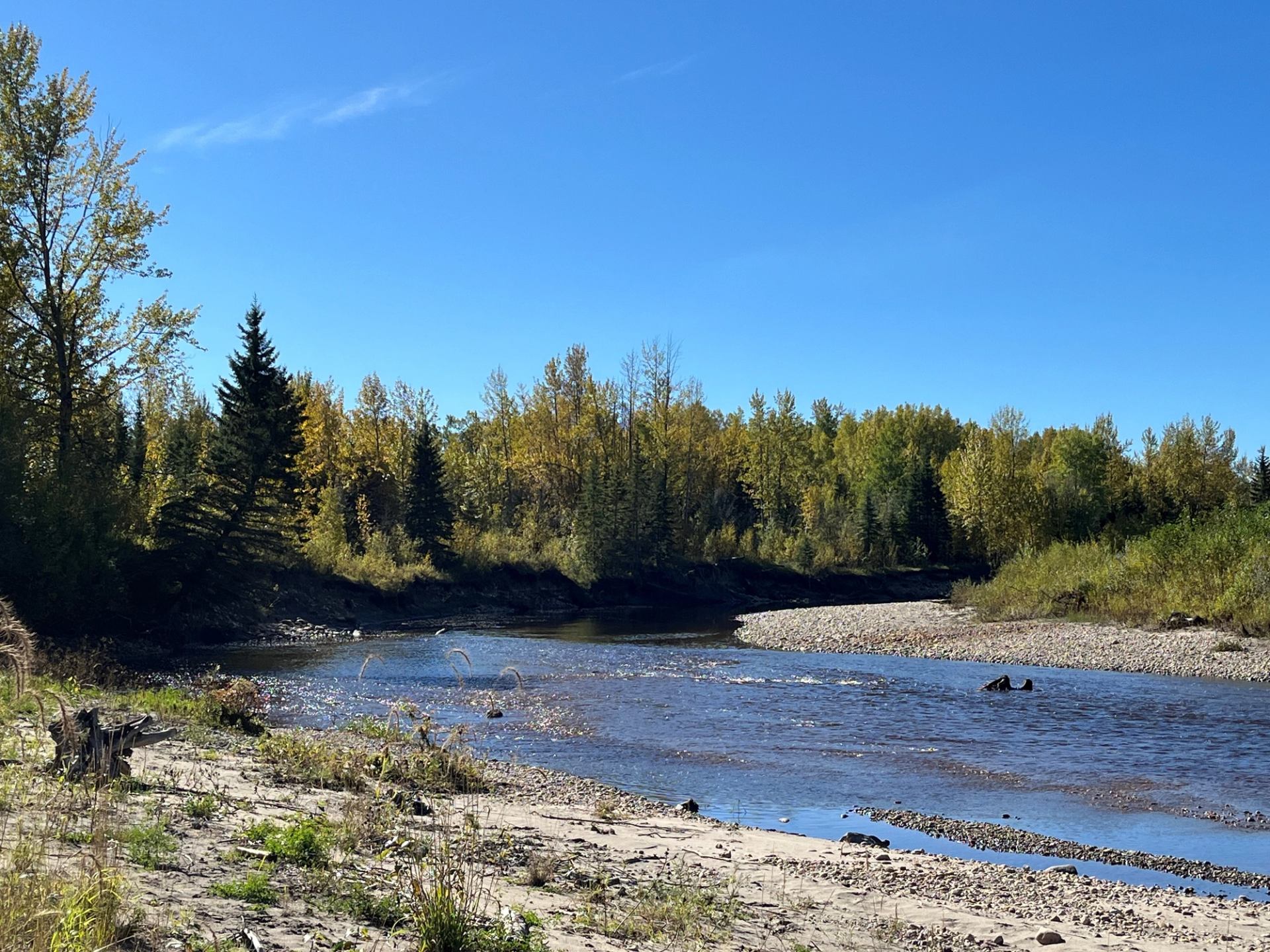 A calm river flowing past sandy and rocky banks with forest in the background.